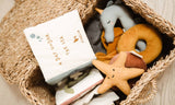 Toy basket with a book titled 'A Day Under the Sea' and various toys including a starfish and a donut.