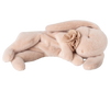 Maileg Sleeping Bunny Plush Small in powder pink