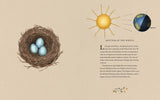 An educational poster titled 'RHYTHM OF THE WHEEL' featuring spring-themed illustrations, including a bird's nest with three blue eggs, a stylized sun, and a half-earth diagram, alongside a block of text on a beige background.