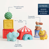 A set of colorful sensory toy blocks and friends arranged on a light beige background with callout labels. The set includes a green bumpy ball on top of yellow and red circus blocks, a red-and-white striped circus tent, a light blue elephant, and a brown bear sitting on a blue-and-white circus cup next to a yellow lion.