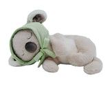 Plush toy resembling a bear wearing a green hood on a white background