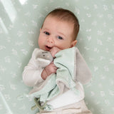 Baby holding a soft toy with a light green background