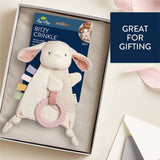 Baby rattle toy with packaging in a box, labeled 'Great for Gifting'.