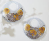 Two clear containers with dried flowers on a light background