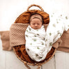 Newborn baby wrapped in a swaddle blanket with leaf pattern, lying in a woven basket with brown and beige padding.