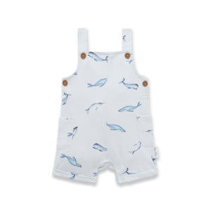 Baby romper with whale pattern on a white background