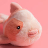 Close-up of a small animal, possibly a hamster, with a pink background