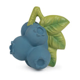 Blueberry-shaped silicone teether with green leaves on a white background