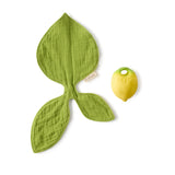 Green leaf-shaped toy and yellow ball on a white background