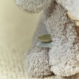 Close-up of a fluffy teddy bear with a green leaf detail on a beige background