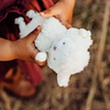 White fluffy toy held by a child's hands against a blurred natural background