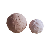 Sensory Ball Set Shells - Rose