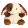 Clover Bunny