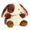 Clover Bunny
