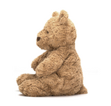 Brown teddy bear sitting on a white background