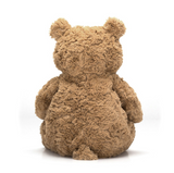 Brown teddy bear on a white background