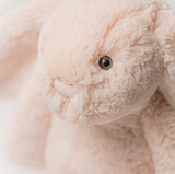 Close-up of a pink flamingo chick with a blurred background