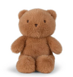 Brown teddy bear on a white background