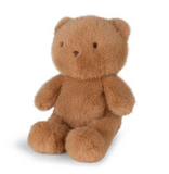Brown teddy bear on a white background