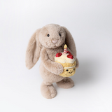 Plush toy rabbit holding a cake-shaped plushie on a white background
