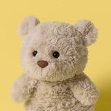 Beige teddy bear with a brown nose on a yellow background