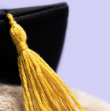 Close-up of a yellow tassel on a black graduation cap against a blurred background