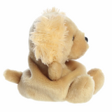 Plush teddy bear on a white background