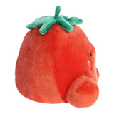 Plush toy shaped like a tomato with a green stem on a white background