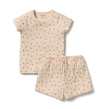 A two-piece baby outfit set consisting of a short-sleeve top and matching shorts in a cream-colored ribbed fabric, decorated with a small brown polka dot pattern. The brand name 'mimimama' is visible on the inner neck label.