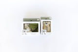 Two small plush koala toys in packaging on a white background