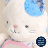Itzy Ritzy Itzy Bitzy Mirror Sensory Tummy Time Mirror Kitty