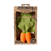 Cathy the Carrot Mini Doudou-Teether