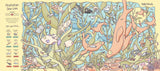 A whimsical illustrated underwater scene with sea lions, fish, kelp, and marine plants on a pale yellow background. Text at the top left reads 'Australian Sea Lion' and the top right reads 'Kelp Forest'; the left side includes a checklist with small labeled icons.