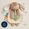 Plush toy rabbit with features labeled on a beige background