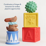 A children's toy set featuring a brown dog figurine wearing a light blue collar, sitting on a blue and white circus-themed base. Next to it is a stack of three embossed alphabet blocks in yellow, red, and blue, with a green bumpy ball toy on top.