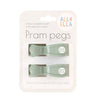 2 Pack Pegs Sage