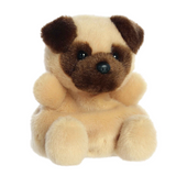Frankie Pug