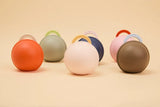 BIBS Pacifier Mini Case Petal | Dummy Storage Case for Babies