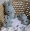 Miffy - Green Knit Baby Gift Set